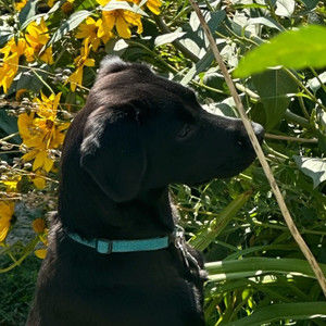 Meet your Posher, Aisha